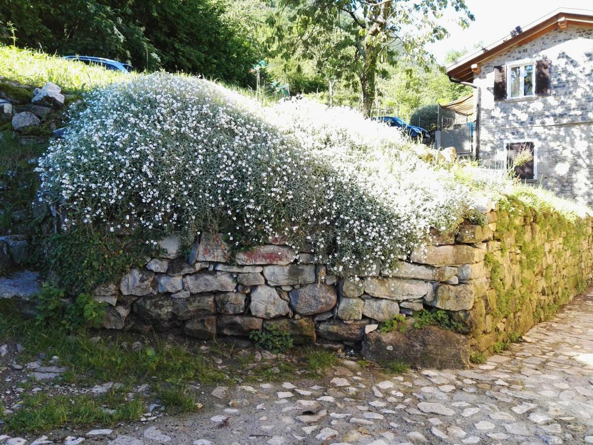 Ca' Eleonora Villa Lezzeno Buitenkant foto
